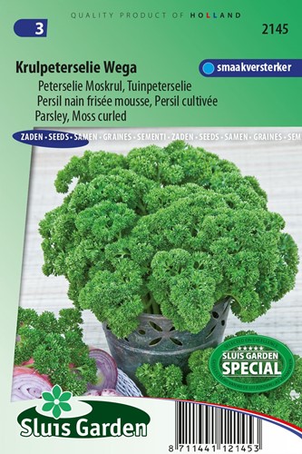 Parsley moss-curled Wega
