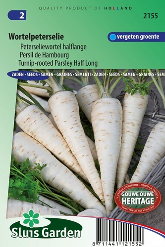 Parsley, Turnip-rooted Berliner (Petros. crisp. tuberosum)
