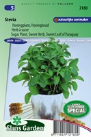 Stevia, Sugar Plant, Sweet Herb, Sweet leaf of Paraguay