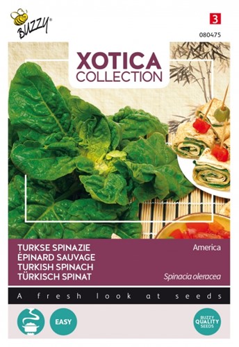 Turkish Spinach America - Xotica Collection