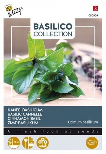 Basil Cinnamon - Basilico Collection