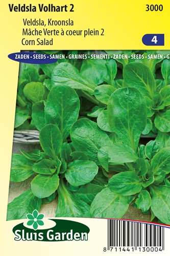 Corn Salad Volhart 2 - Valerianella locusta