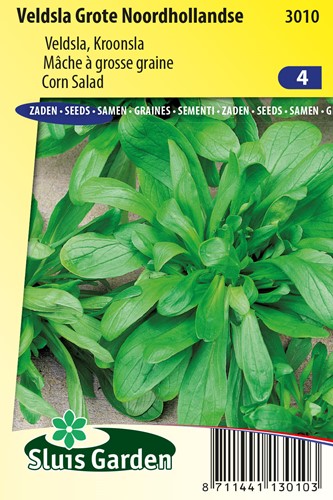Corn Salad Grote Noordhollandse - Valerianella locusta