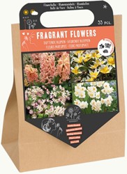 Fragrant Flower Bulb Collection