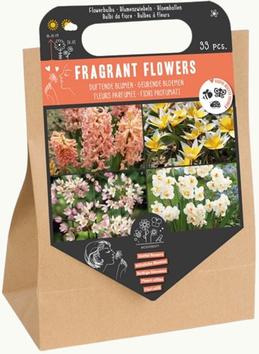 Fragrant Flower Bulb Collection