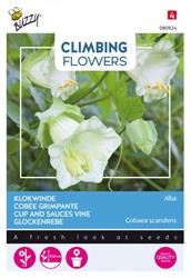 Klokwinde Alba - Climbing Flowers