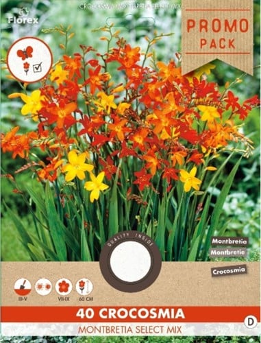 Crocosmia Mix - Montbretia