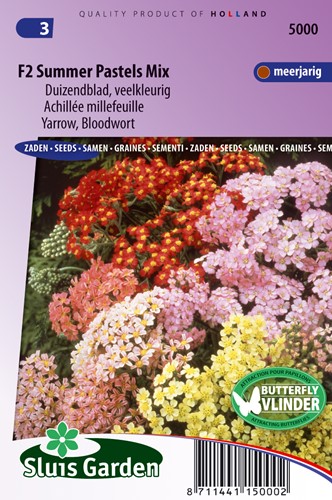 Yarrow, Bloowort F2 Summer Pastels Mix