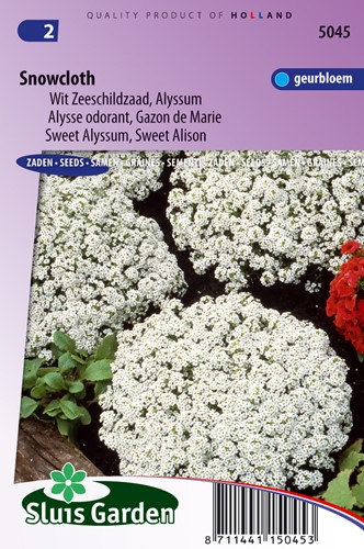 Alyssum, Sweet Alison Snowcloth
