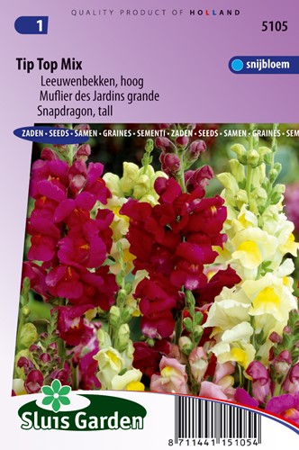 Snapdragon Tip Top Mix (tall)