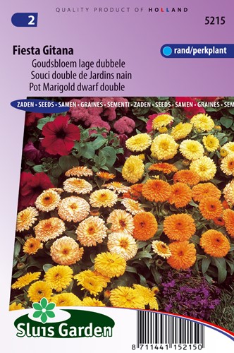 Pot Marigold Fiesta Gitana dwarf double mix - Calendula