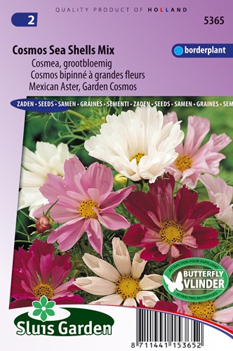 Mexican Aster, Garden Cosmos Sea Shells Mix