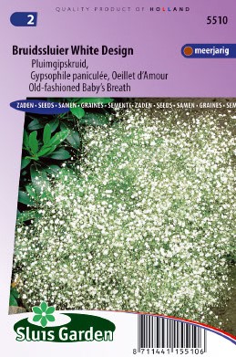 Baby's breath Old-fashioned Single White Design - Gypsophila