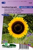 Buy Sunflower Tall Single Yellow online at Gardencentre Koeman