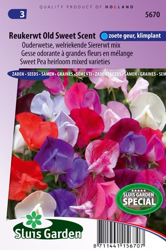 Sweet pea Old Sweet Scent (Heirloom varieties)