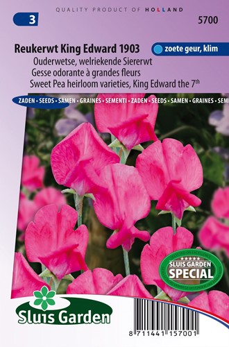 Sweet pea King Edward the 7th 1903 (Heirloom variety)