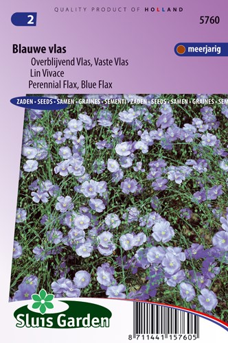 Flax perennial, Blue Flax - Linum perenne