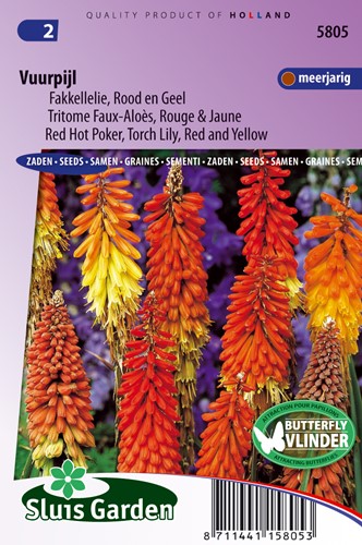 Red Hot Poker, Torch Lily Red and Yellow