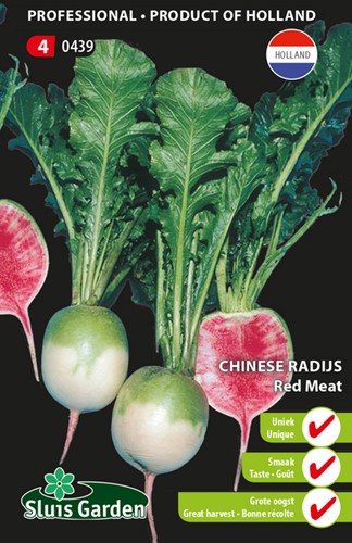 Radish chinese Red Meat