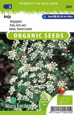 Anise, Sweet Cumin BIO - Pimpinella anisum