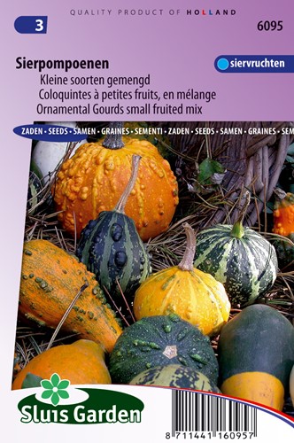 Ornamental Gourd Small Fruited Mix - Cucurbita pepo