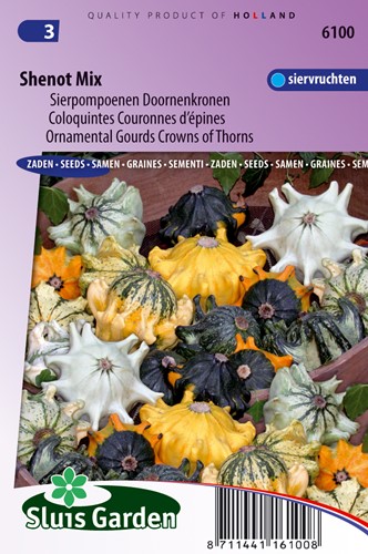Ornamental Gourd Shenot Crown of Thorns - Cucurbita pepo