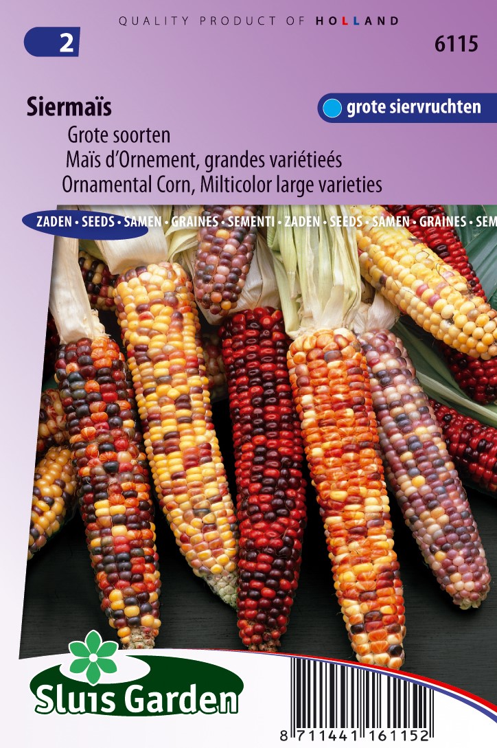 Buy Ornemental Corn Multicolor Large Varieties online at Gardencentre