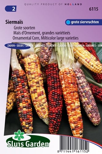 Ornamental Corn, Multicolor large varieties
