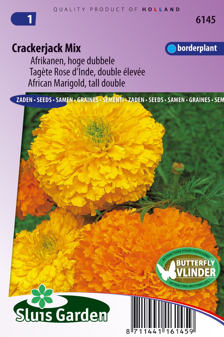 Buy Marigold African Tall Double Crackerjack Mix online at Gardencentre Koeman