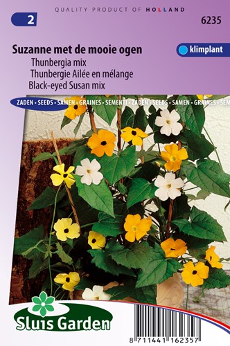 Black-eyed Susan Mix
