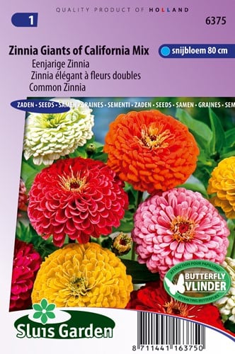 Zinnia Giants of California Mix