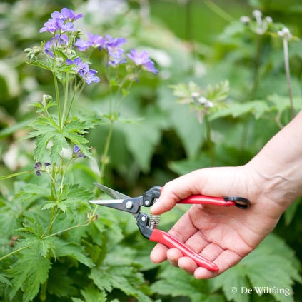Thinning shears, straight model