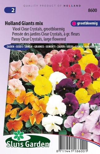 Pansy Holland Giants Mix Viola Clear Crystals