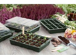 Complete propagation kit - Nature