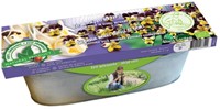 Kit Pansy Tri-color Edible ORGANIC