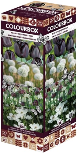 Colourbox Black and White – Flower bulbs mix
