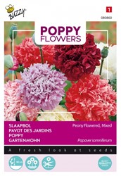Poppy paeony flowered, mixed - Poppy Flowers