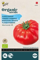 Bio Beefsteak tomato Marmande - Solanum lycopersicum
