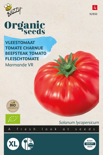 Bio Beefsteak tomato Marmande - Solanum lycopersicum