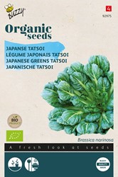 Bio Japanese Greens Tatsoi - Brassica Narinosa