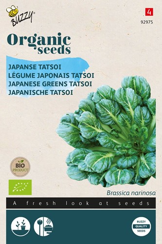 Bio Japanese Greens Tatsoi - Brassica Narinosa