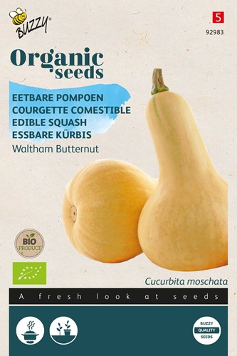 Edible Squash Waltham Butternut – Buzzy Organic Seeds
