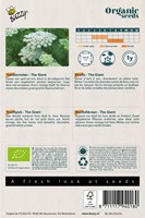 Bio Bishop's Flower The Giant - Ammi Visnaga-2
