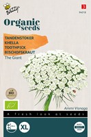 Bio Bishop's Flower The Giant - Ammi Visnaga