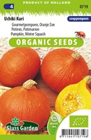 Pumpkin, Winter Squash, Uchiki Kuri (soupe) EKO