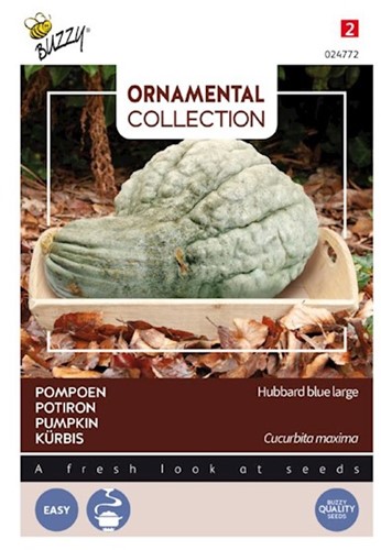 Pumpkin Hubbard Large Blue - Ornamental Collection