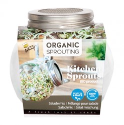 Salad Mix - Organic Sprouting glass pot