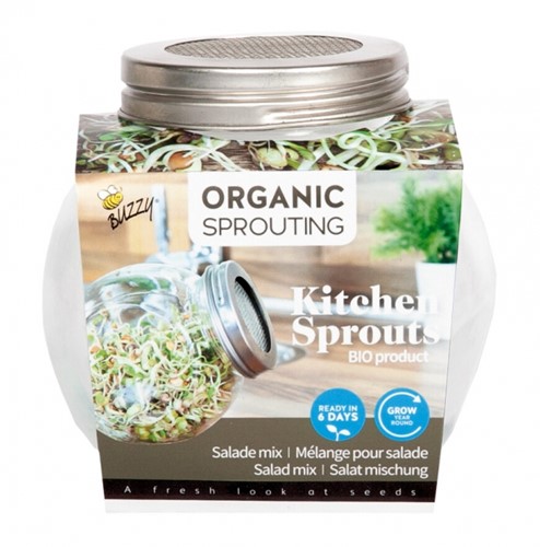 Salad Mix - Organic Sprouting glass pot