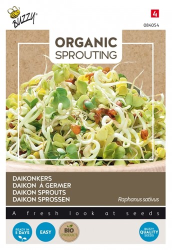 Daikon Sprouts - Buzzy Organic Sprouting