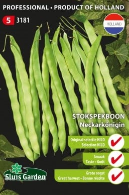 Climbing French Bean Neckarkönigin - Original Selection